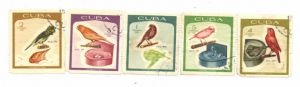 Марки, гашеные (набор 5 шт.). Куба, 1968. Птицы ― Антикварно-нумизматический центр "Пава" | интернет-магазин
